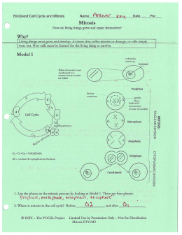 bioquest mitosis answer key