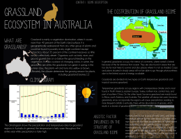 Grassland: Ecosystem in Australia