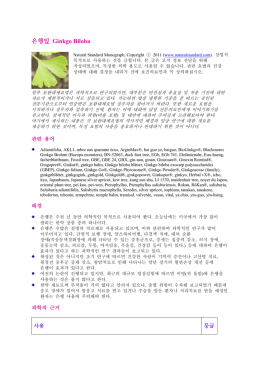 은행잎 Ginkgo Biloba