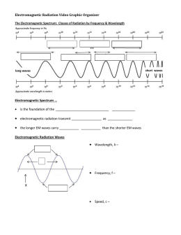 Graphic Organizer