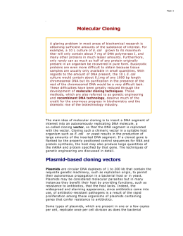 Molecular Cloning Plasmid