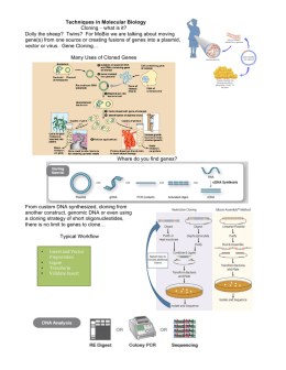 Techniques in Molecular Biology Cloning – what is it? Dolly the