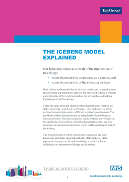 Introduction to the Iceberg model