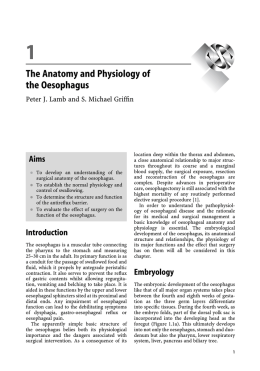 1 The Anatomy and Physiology of the Oesophagus
