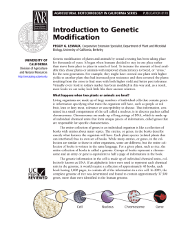 Introduction to Genetic Modification