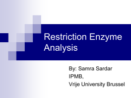 Restriction Enzyme Analysis