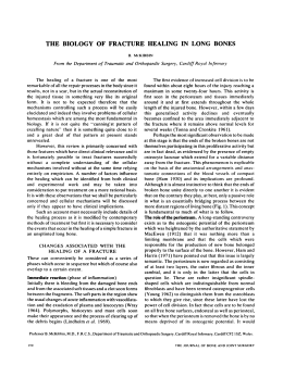 THE BIOLOGY OF FRACTURE HEALING IN LONG BONES