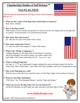 Chamberlain Studios of Self Defense™ USA FLAG TEST www