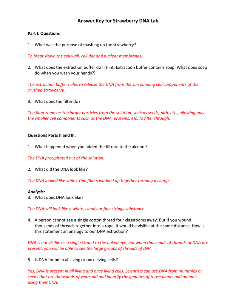 Answer Key For Strawberry Dna Lab