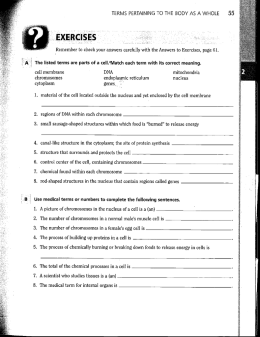 Page 1 TERMS PERTAINING TO THE BODY AS A WHOLE #4