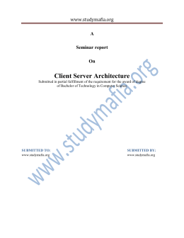 Client Server Architecture pdf Report Free