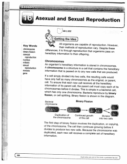 COACH Lesson 16 Article about binary fission, mitosis, and meiosis