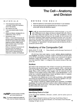 ATERIALS \ Three-dimensional model of the "composite