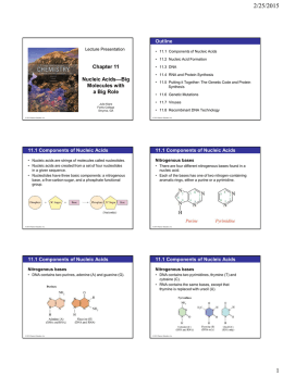 Chapter 11 Nucleic Acids—Big Molecules with a Big Role Outline