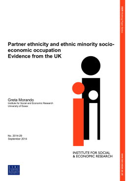 Partner ethnicity and ethnic minority socio