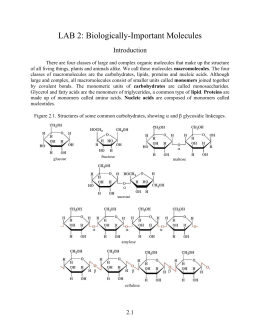 LAB 2: Biologically-Important Molecules