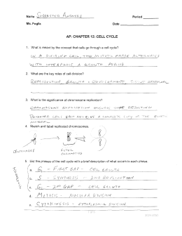 CHAPTER 12: CELL CYCLE