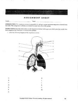 ASSIGNMENT SHEET