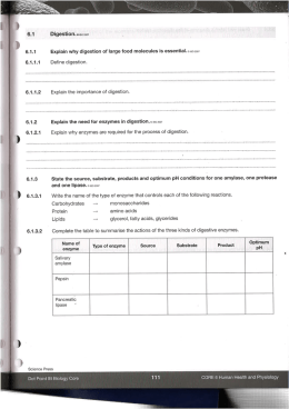 6.1.1 - SP Moodle