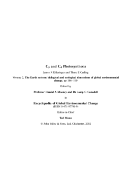 C3 and C4 Photosynthesis