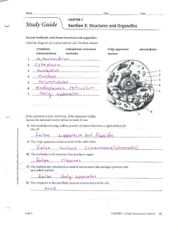 SG ws 7.3 answer key