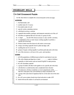 `3 A Cell Crossword Puzzle