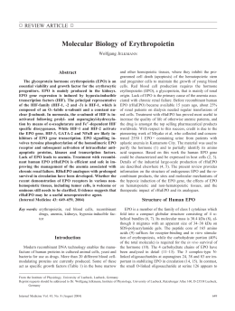 Molecular Biology of Erythropoietin