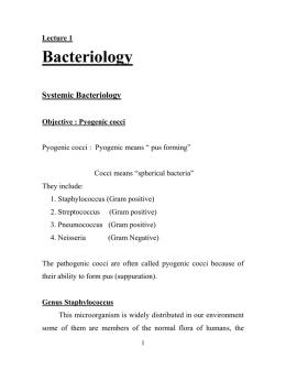 Lecture 1 Bacteriology