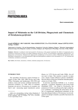 Impact of Melatonin on the Cell Division, Phagocytosis and