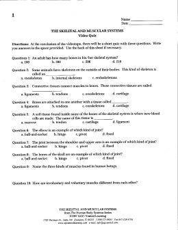 THE SKELETAL AND MUSCULAR SYSTEMS Video Quiz