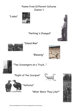 Poems from Different Cultures Cluster 1