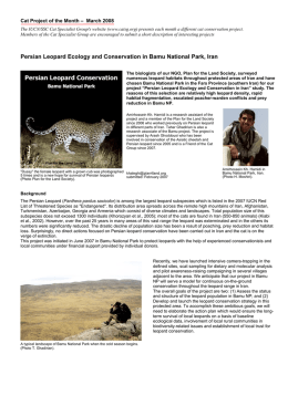 leopard in Bamu NP - Cat Specialist Group