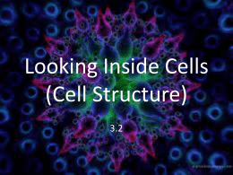 Looking Inside Cells (Cell Structure)
