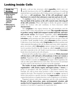 Looking inside cells reading and worksheet