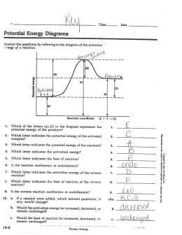 PE Diagram Review with Answers