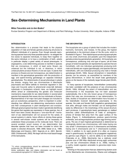 Sex-Determining Mechanisms in Land Plants