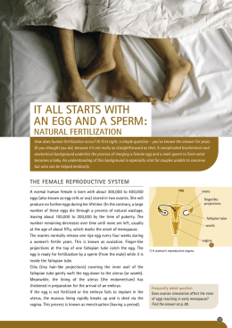IT ALL STARTS WITH AN EGG AND A SPERM: