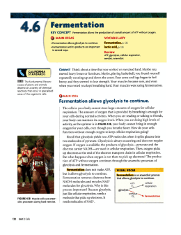 4.6 Fermentation Textbook Lesson