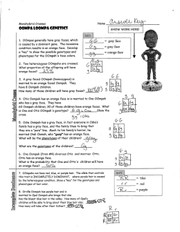 Oompa Loompa Genetics Answer Key