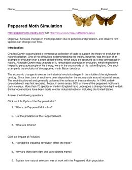 Peppered Moth Simulation