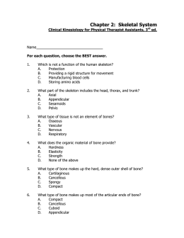 Chapter 2: Skeletal System
