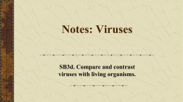 Notes: Viruses