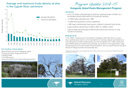 Koala management program update 2014-15