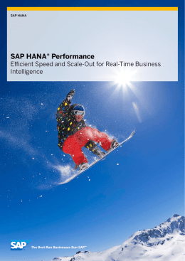 SAP HANA® Performance