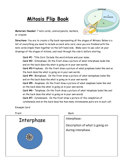 interphase mitosis flip book