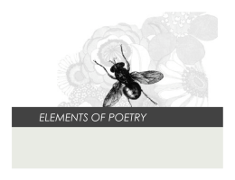 ELEMENTS OF POETRY