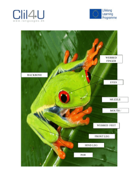 -ACTIVITY 2- FROG`S BODY PARTS