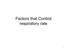 Factors that Control respiratory rate