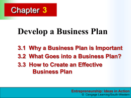 Develop a Business Plan - Mosinee School District