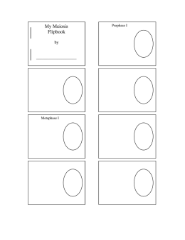 My Meiosis Flipbook